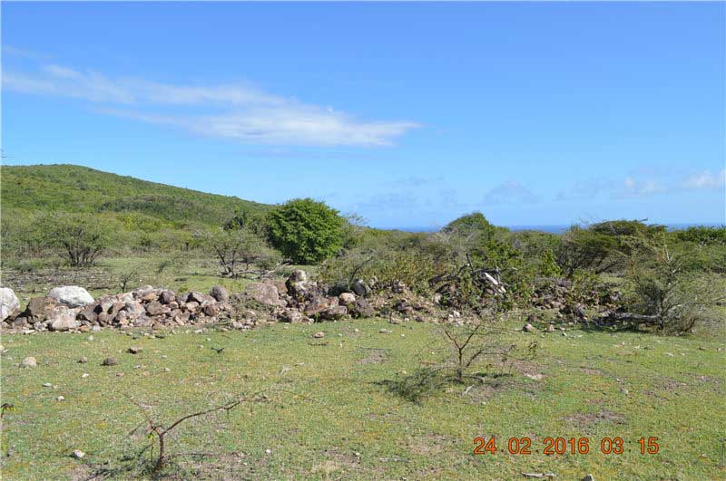 尼维斯岛可买卖土地 300英亩