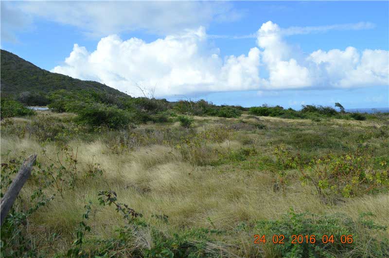 尼维斯岛可买卖土地 30英亩