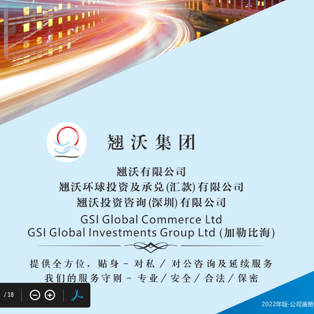 GSI--中文画册 2022